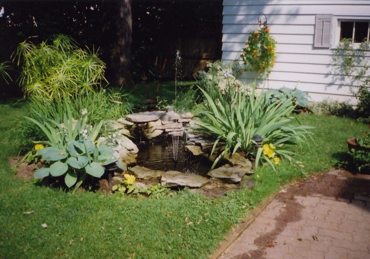 Outdoor project 2